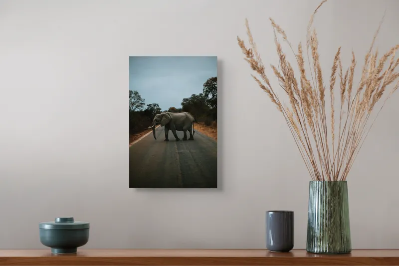 Tablou Canvas, "Oprirea elefantului pe drum pustiu", Elefant, Drum, Copaci, Cer, Natura, Liniste, Aventura, Salbaticie, 26 x 39 cm – poza 5