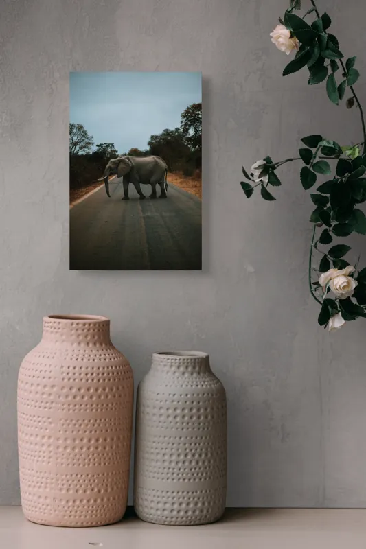 Tablou Canvas, "Oprirea elefantului pe drum pustiu", Elefant, Drum, Copaci, Cer, Natura, Liniste, Aventura, Salbaticie, 26 x 39 cm – poza 6