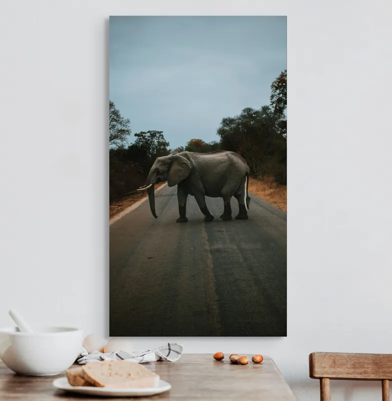 Tablou Canvas, "Oprirea elefantului pe drum pustiu", Elefant, Drum, Copaci, Cer, Natura, Liniste, Aventura, Salbaticie, 50 x 90 cm – poza 3
