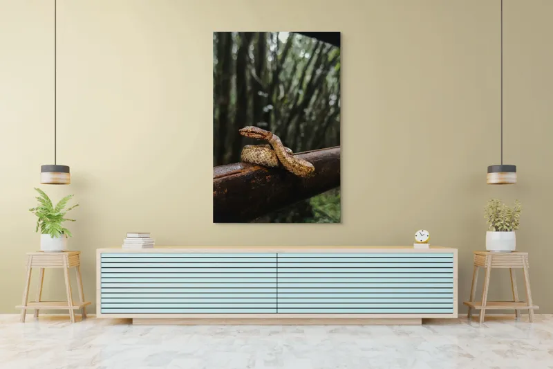 Tablou Canvas, "Șarpe odihnindu-se pe balustradă", Șarpe, Pădure, Lemn, Natură, Ramură, Scămoșat, Verde, Copaci, Reptilă, 100 x 150 cm – poza 4
