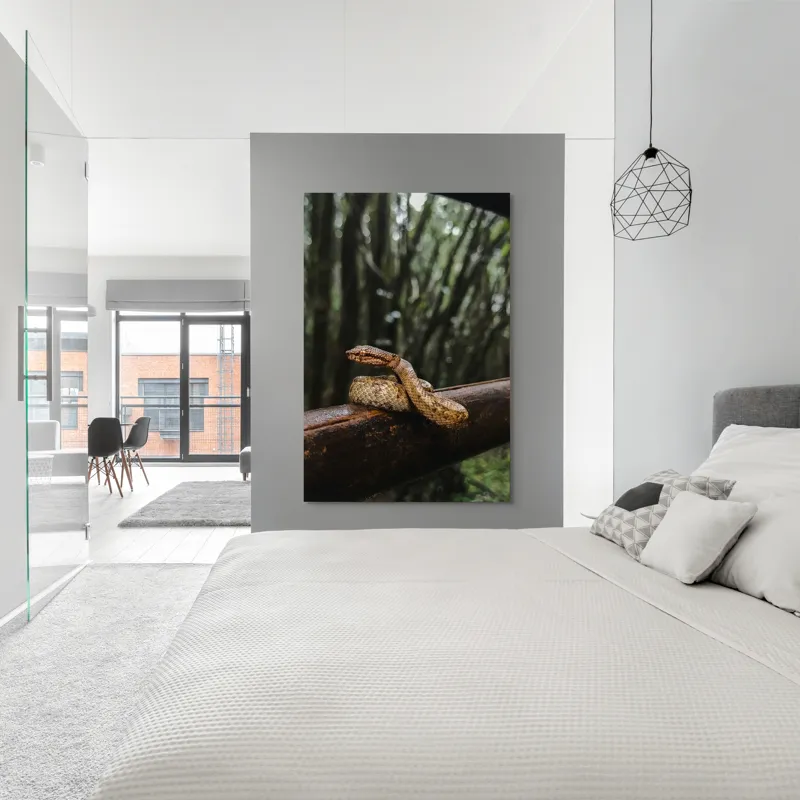 Tablou Canvas, "Șarpe odihnindu-se pe balustradă", Șarpe, Pădure, Lemn, Natură, Ramură, Scămoșat, Verde, Copaci, Reptilă, 100 x 150 cm – poza 5