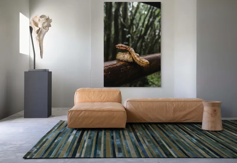 Tablou Canvas, "Șarpe odihnindu-se pe balustradă", Șarpe, Pădure, Lemn, Natură, Ramură, Scămoșat, Verde, Copaci, Reptilă, 100 x 150 cm – poza 7