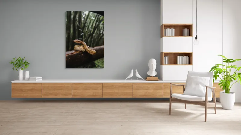 Tablou Canvas, "Șarpe odihnindu-se pe balustradă", Șarpe, Pădure, Lemn, Natură, Ramură, Scămoșat, Verde, Copaci, Reptilă, 100 x 150 cm – poza 8
