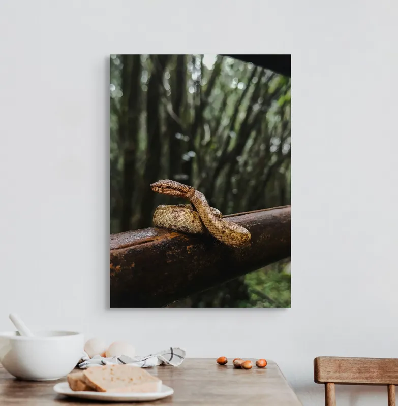 Tablou Canvas, "Șarpe odihnindu-se pe balustradă", Șarpe, Pădure, Lemn, Natură, Ramură, Scămoșat, Verde, Copaci, Reptilă, 50 x 70 cm – poza 3