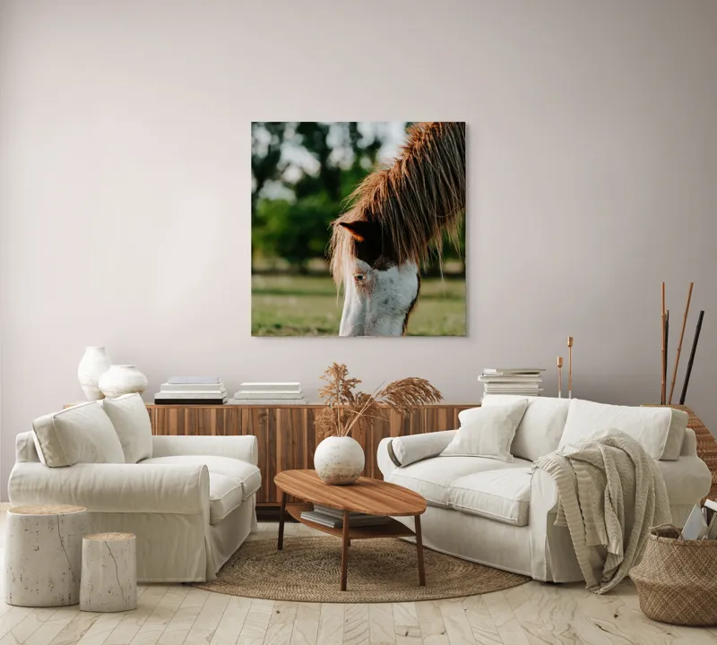 Tablou Canvas, "Cal în lumina dimineții de vară", Cal, Pășune, Iarbă, Blană, Natură, Verdeață, Relaxare, Grațiozitate, Animale, Liniște, 100 x 100 cm – poza 3