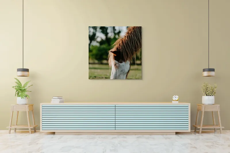 Tablou Canvas, "Cal în lumina dimineții de vară", Cal, Pășune, Iarbă, Blană, Natură, Verdeață, Relaxare, Grațiozitate, Animale, Liniște, 100 x 100 cm – poza 5
