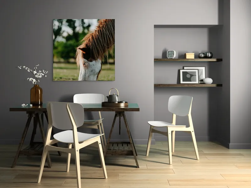 Tablou Canvas, "Cal în lumina dimineții de vară", Cal, Pășune, Iarbă, Blană, Natură, Verdeață, Relaxare, Grațiozitate, Animale, Liniște, 100 x 100 cm – poza 6