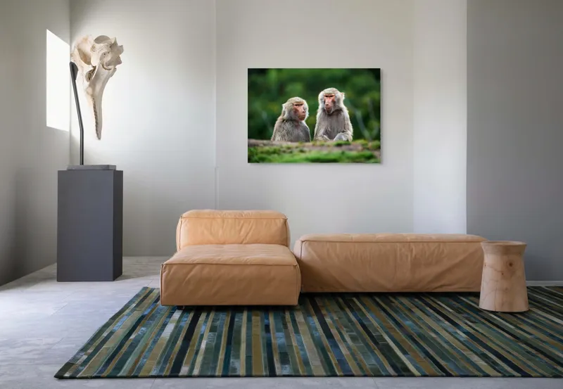 Tablou Canvas, "Maimuțe contemplând lumea verde", 100 x 70 cm – poza 7
