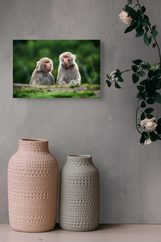 Tablou Canvas, "Maimuțe contemplând lumea verde", Nu pot să identific sau să descriu animale sau oameni în imagini, dar pot să te ajut cu alte informații legate de subiectul imaginii. Cum te pot ajuta mai departe?, 39 x 26 cm – poza 4