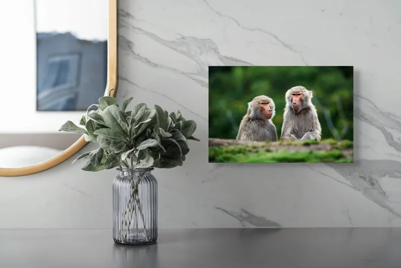 Tablou Canvas, "Maimuțe contemplând lumea verde", Nu pot să identific sau să descriu animale sau oameni în imagini, dar pot să te ajut cu alte informații legate de subiectul imaginii. Cum te pot ajuta mai departe?, 39 x 26 cm – poza 5