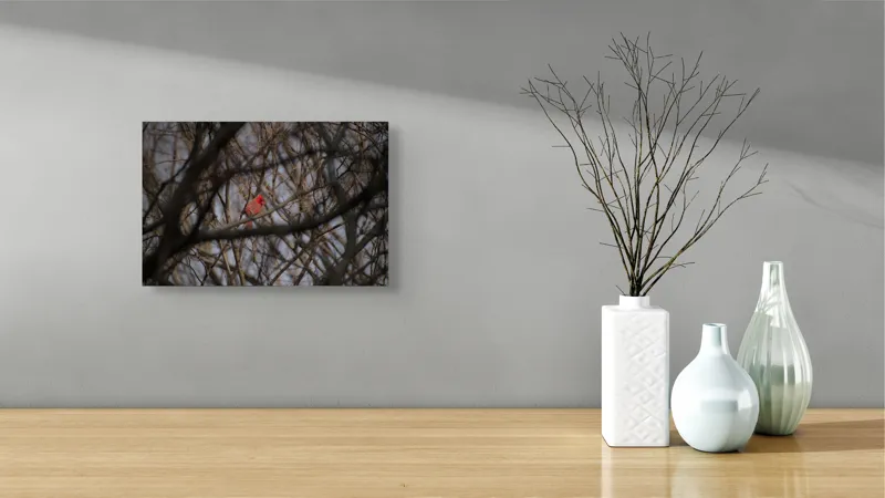 Tablou Canvas, "Cardinal singur printre crengile copacilor", Pasăre, Cardinal, Roșu, Crengi, Iarnă, Natură, Singurătate, Copac, Cer, Ramuri, 39 x 26 cm – poza 8