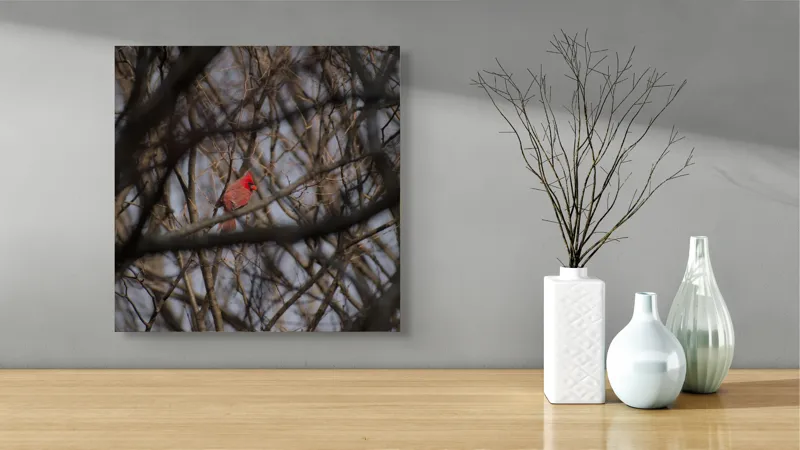 Tablou Canvas, "Cardinal singur printre crengile copacilor", Pasăre, Cardinal, Roșu, Crengi, Iarnă, Natură, Singurătate, Copac, Cer, Ramuri, 50 x 50 cm – poza 3