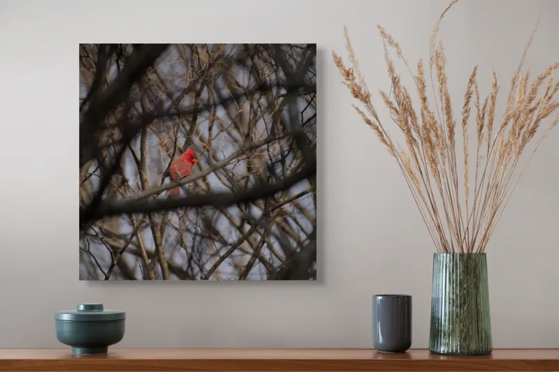 Tablou Canvas, "Cardinal singur printre crengile copacilor", Pasăre, Cardinal, Roșu, Crengi, Iarnă, Natură, Singurătate, Copac, Cer, Ramuri, 50 x 50 cm – poza 4