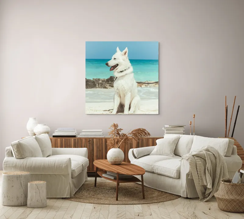 Tablou Canvas, "Câine alb pe plajă însorită", 100 x 100 cm – poza 3