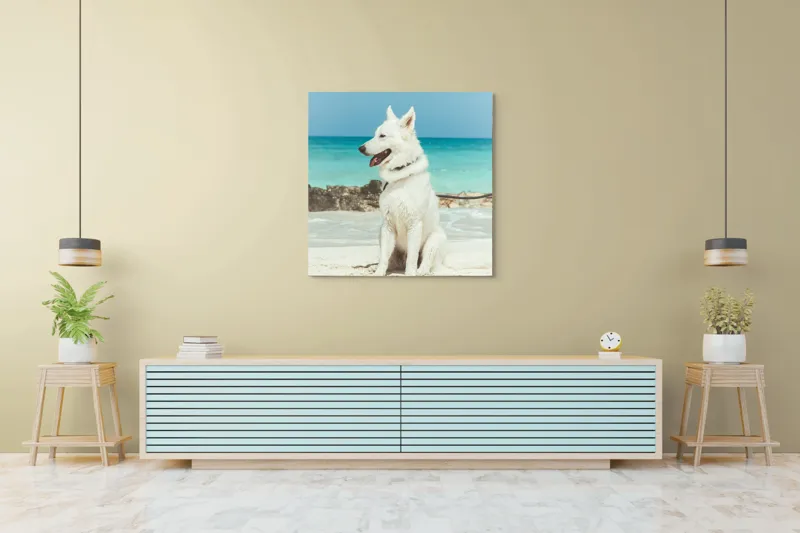 Tablou Canvas, "Câine alb pe plajă însorită", 100 x 100 cm – poza 5