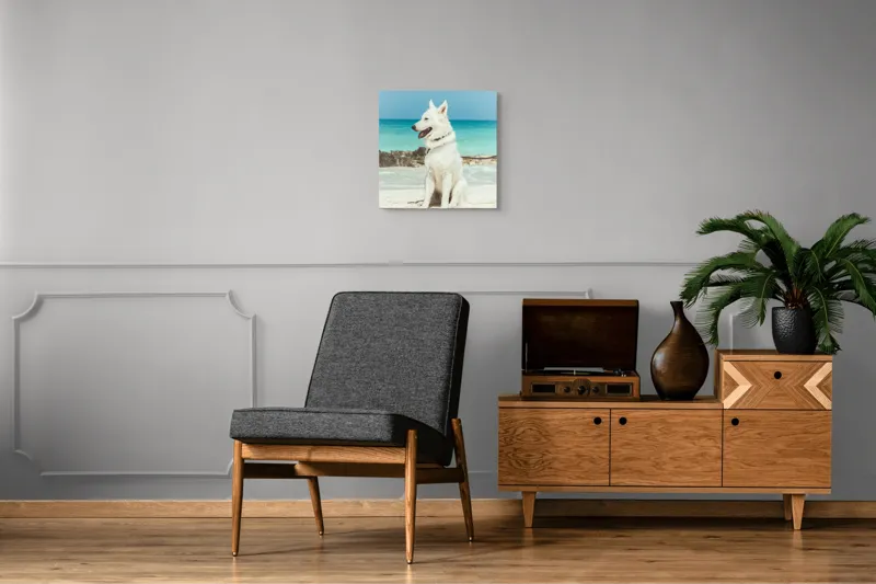 Tablou Canvas, "Câine alb pe plajă însorită", 50 x 50 cm – poza 6