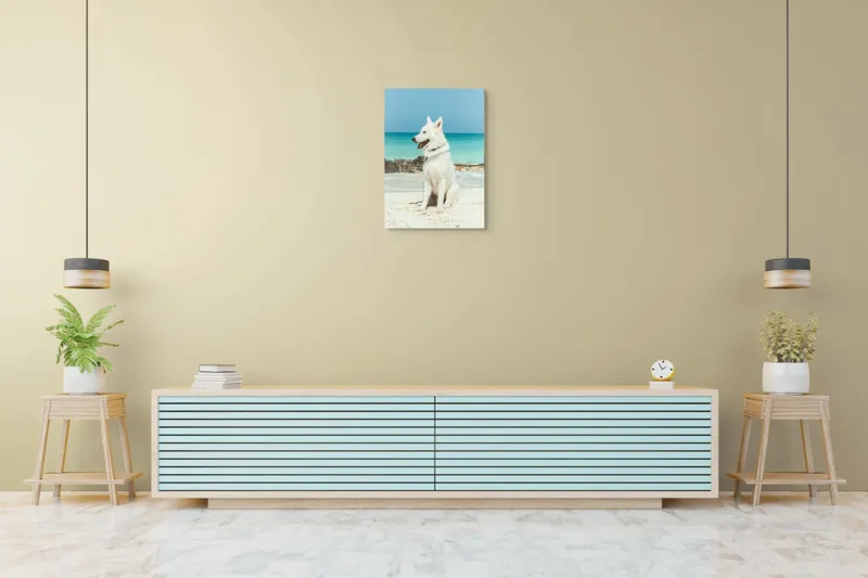 Tablou Canvas, "Câine alb pe plajă însorită", 50 x 70 cm – poza 6