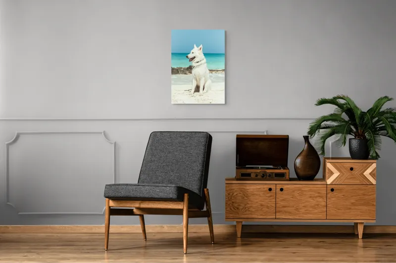 Tablou Canvas, "Câine alb pe plajă însorită", 50 x 70 cm – poza 8