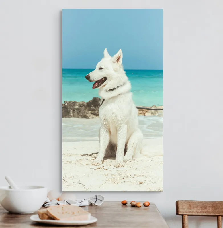 Tablou Canvas, "Câine alb pe plajă însorită", 50 x 90 cm – poza 3
