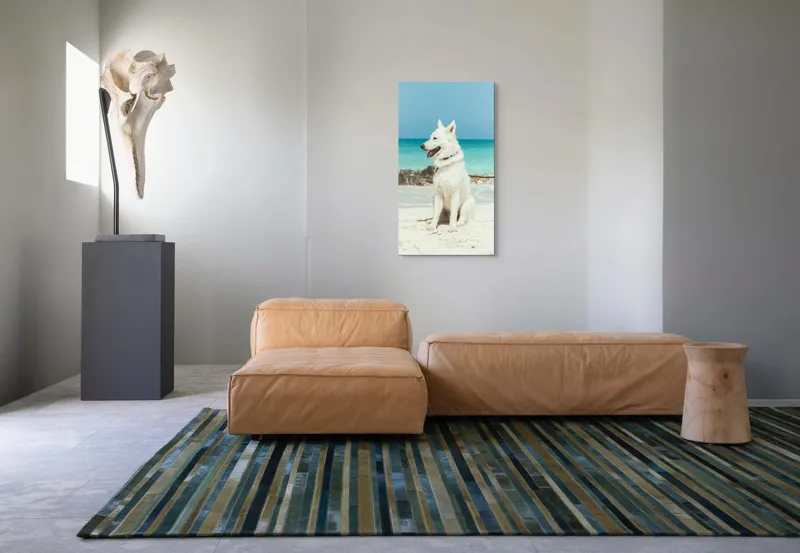 Tablou Canvas, "Câine alb pe plajă însorită", 50 x 90 cm – poza 5