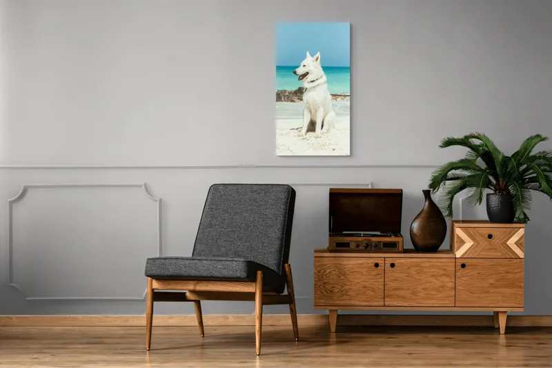 Tablou Canvas, "Câine alb pe plajă însorită", 50 x 90 cm – poza 8