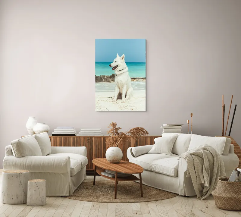Tablou Canvas, "Câine alb pe plajă însorită", 70 x 100 cm – poza 4
