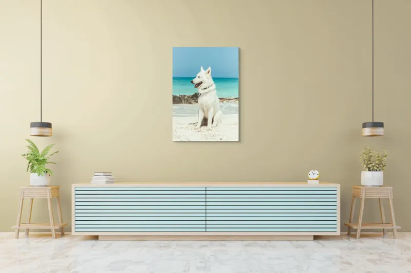 Tablou Canvas, "Câine alb pe plajă însorită", 70 x 100 cm – poza 5