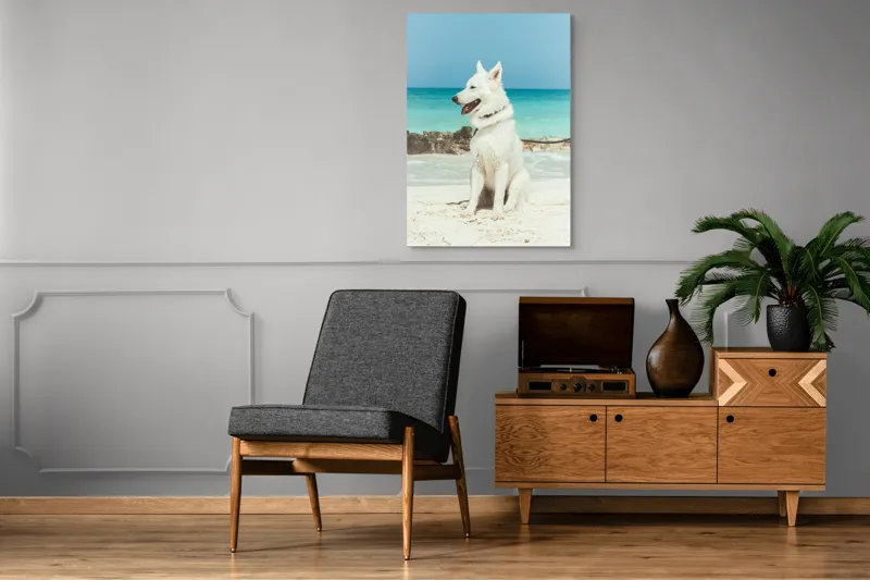 Tablou Canvas, "Câine alb pe plajă însorită", 70 x 100 cm – poza 6