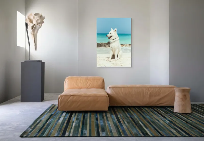 Tablou Canvas, "Câine alb pe plajă însorită", 70 x 100 cm – poza 7