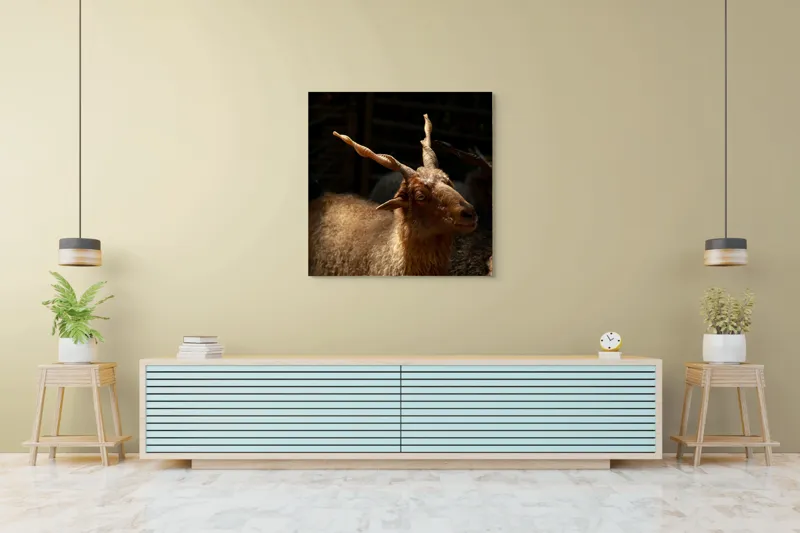 Tablou Canvas, "Capra în lumina soarelui blând", 100 x 100 cm – poza 5
