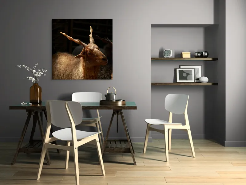 Tablou Canvas, "Capra în lumina soarelui blând", 100 x 100 cm – poza 6