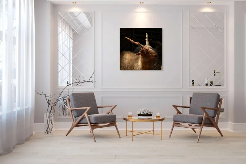 Tablou Canvas, "Capra în lumina soarelui blând", 100 x 100 cm – poza 7