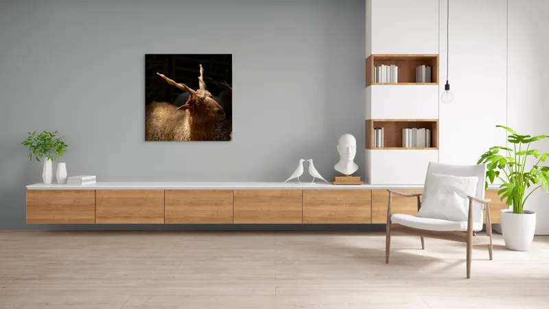 Tablou Canvas, "Capra în lumina soarelui blând", 100 x 100 cm – poza 8