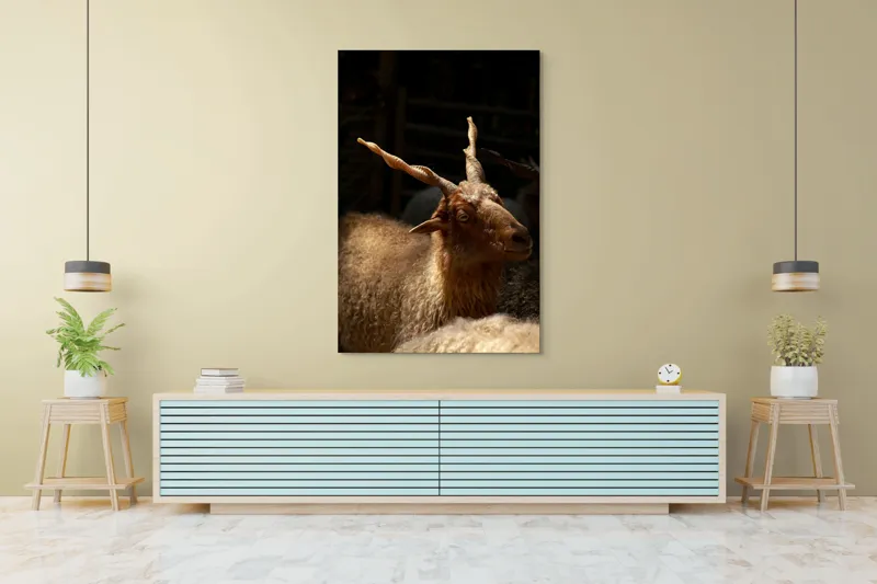 Tablou Canvas, "Capra în lumina soarelui blând", 100 x 150 cm – poza 4