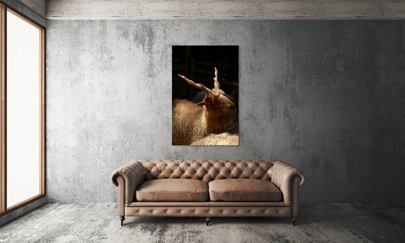 Tablou Canvas, "Capra în lumina soarelui blând", 100 x 150 cm – poza 6