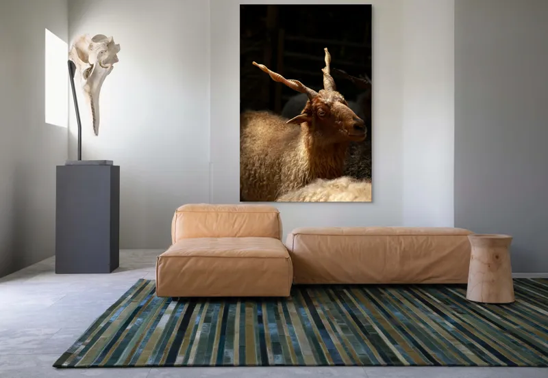 Tablou Canvas, "Capra în lumina soarelui blând", 100 x 150 cm – poza 7