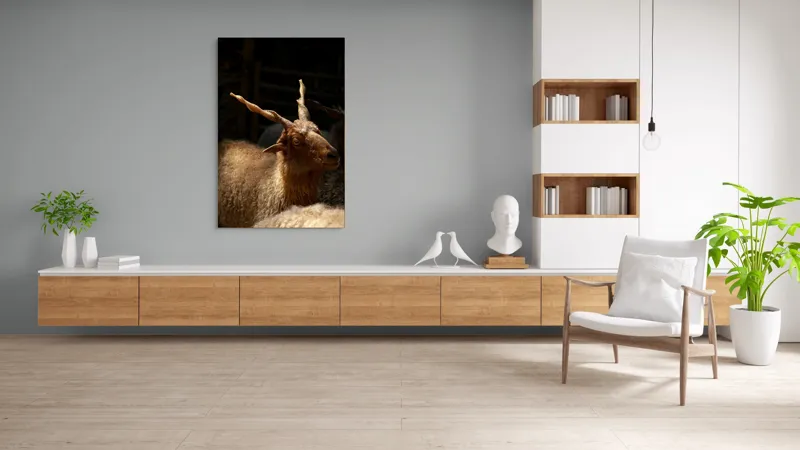 Tablou Canvas, "Capra în lumina soarelui blând", 100 x 150 cm – poza 8