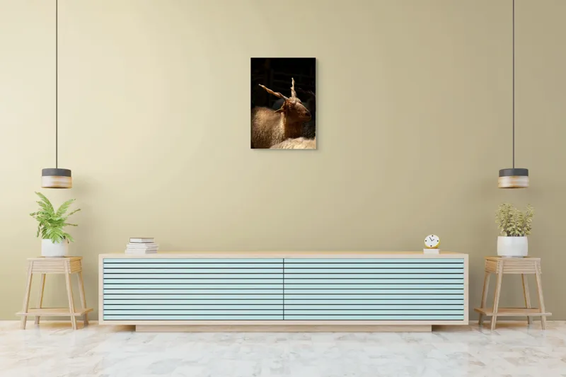Tablou Canvas, "Capra în lumina soarelui blând", 50 x 70 cm – poza 6