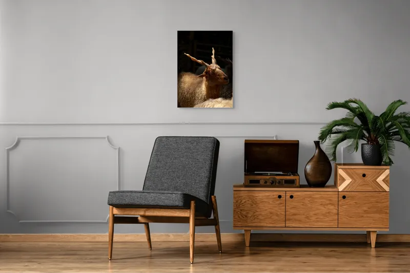 Tablou Canvas, "Capra în lumina soarelui blând", 50 x 70 cm – poza 8