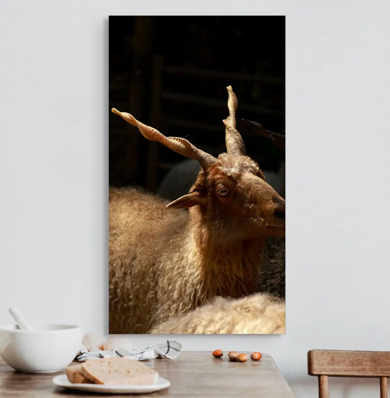 Tablou Canvas, "Capra în lumina soarelui blând", 50 x 90 cm – poza 3