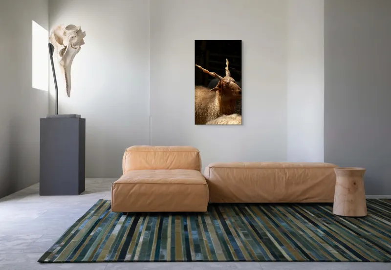 Tablou Canvas, "Capra în lumina soarelui blând", 50 x 90 cm – poza 5