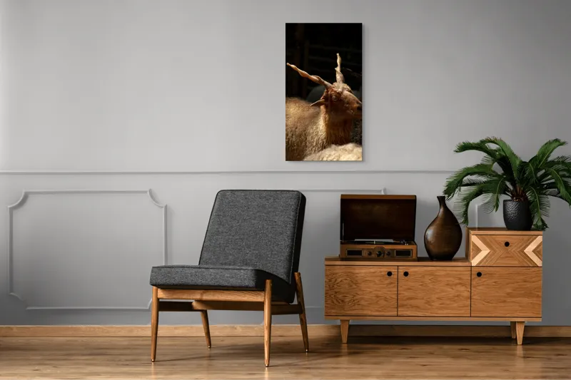 Tablou Canvas, "Capra în lumina soarelui blând", 50 x 90 cm – poza 8