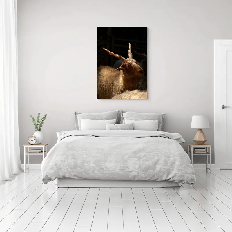 Tablou Canvas, "Capra în lumina soarelui blând", 70 x 100 cm – poza 3