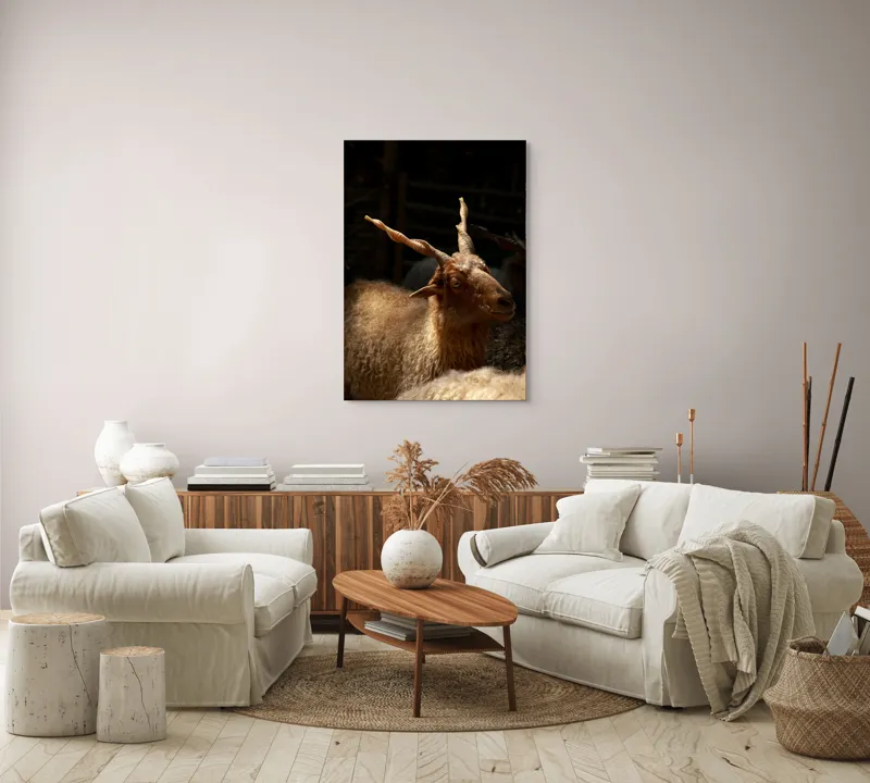 Tablou Canvas, "Capra în lumina soarelui blând", 70 x 100 cm – poza 4