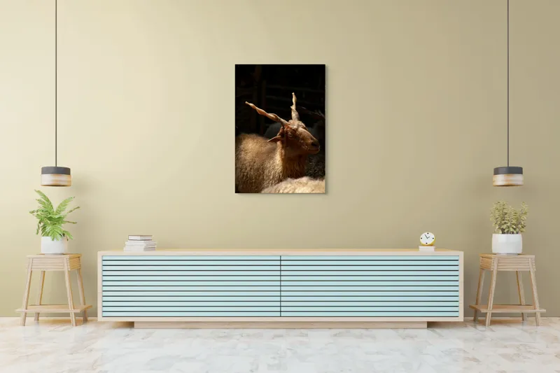 Tablou Canvas, "Capra în lumina soarelui blând", 70 x 100 cm – poza 5