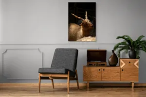 Tablou Canvas, "Capra în lumina soarelui blând", 70 x 100 cm – poza 6