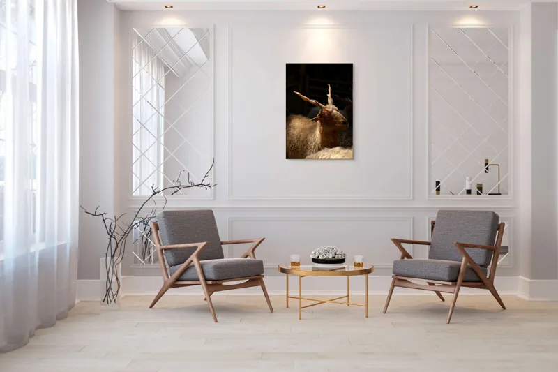 Tablou Canvas, "Capra în lumina soarelui blând", 70 x 100 cm – poza 8