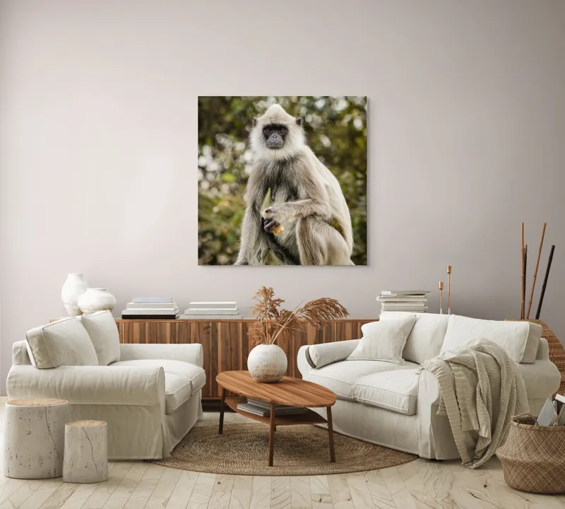 Tablou Canvas, "Maimuța contemplativă în natură liniștită", 100 x 100 cm – poza 3