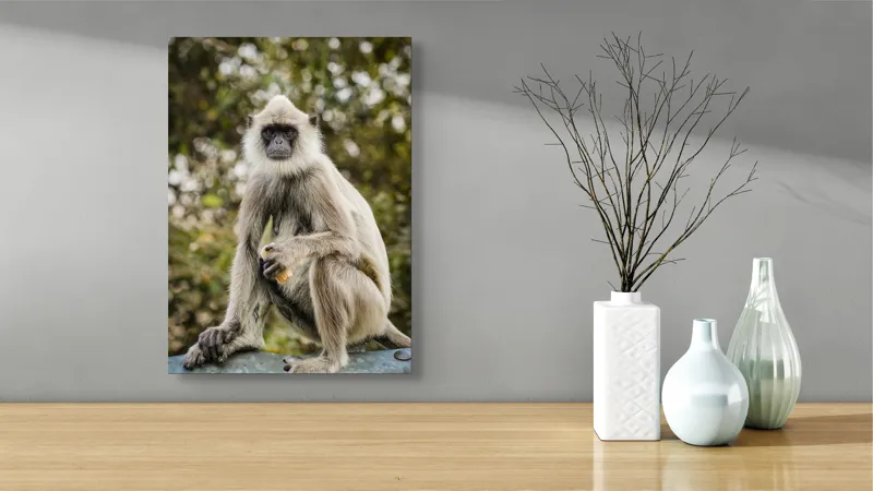 Tablou Canvas, "Maimuța contemplativă în natură liniștită", Nu pot să identific cine este în imagine, dar pot să spun că este un animal intrigant într-un mediu natural., 39 x 54 cm – poza 4