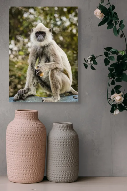 Tablou Canvas, "Maimuța contemplativă în natură liniștită", Nu pot să identific cine este în imagine, dar pot să spun că este un animal intrigant într-un mediu natural., 39 x 54 cm – poza 6
